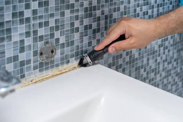 Best Black Mold Removal  in Galt, CA